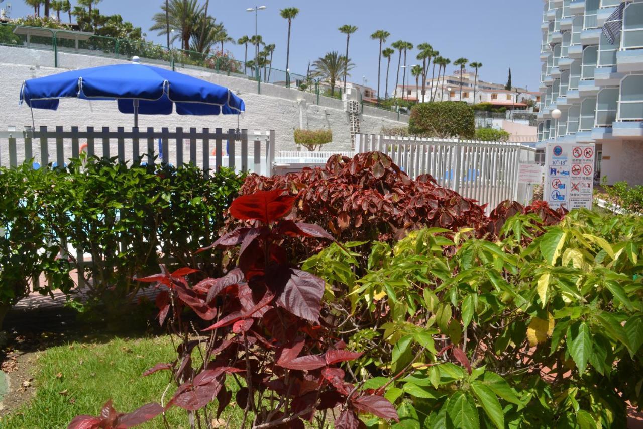 Red Loft Deluxe - Vivienda Vacacional A Playa Del Ingles Lejlighed Eksteriør billede