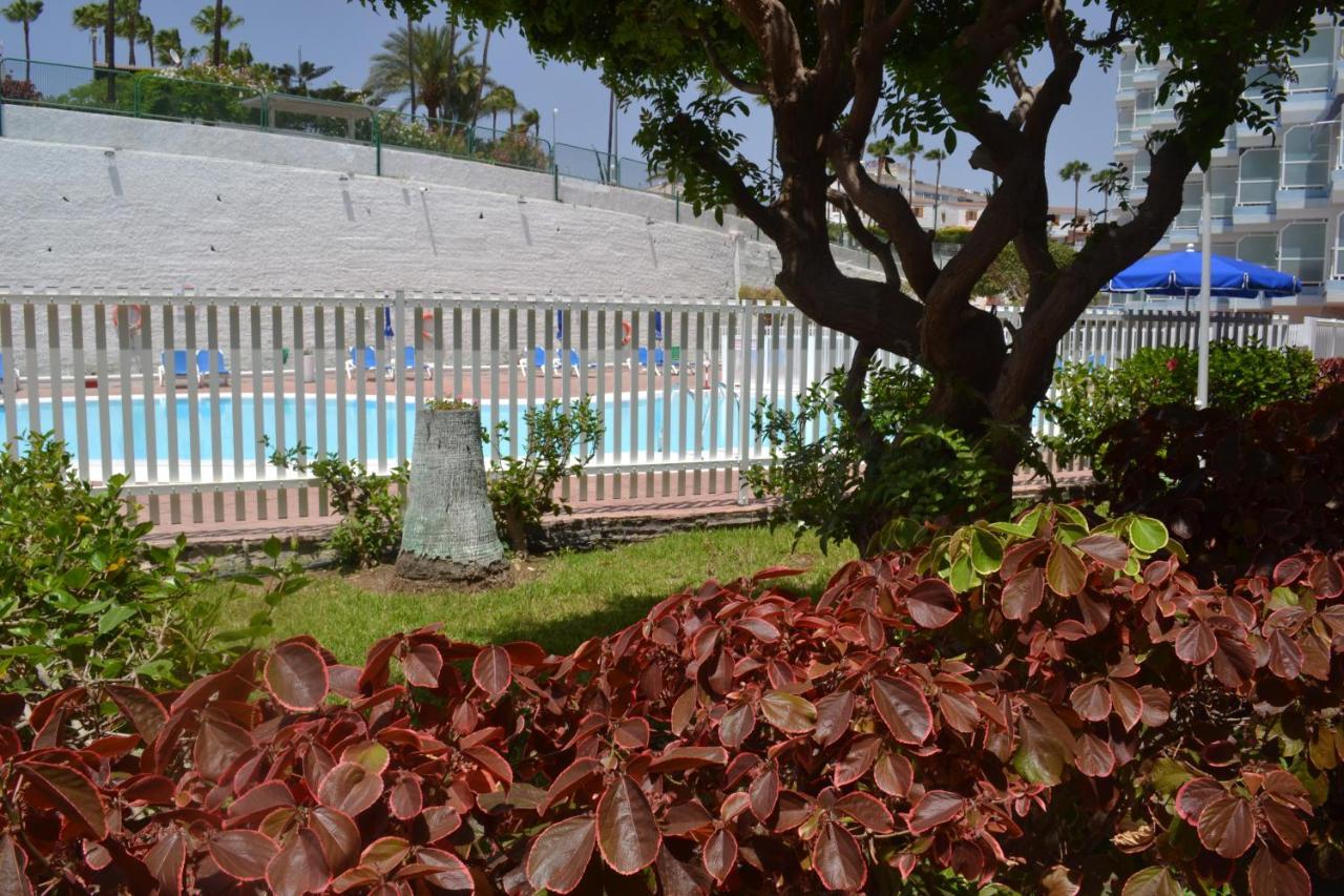 Red Loft Deluxe - Vivienda Vacacional A Playa Del Ingles Lejlighed Eksteriør billede